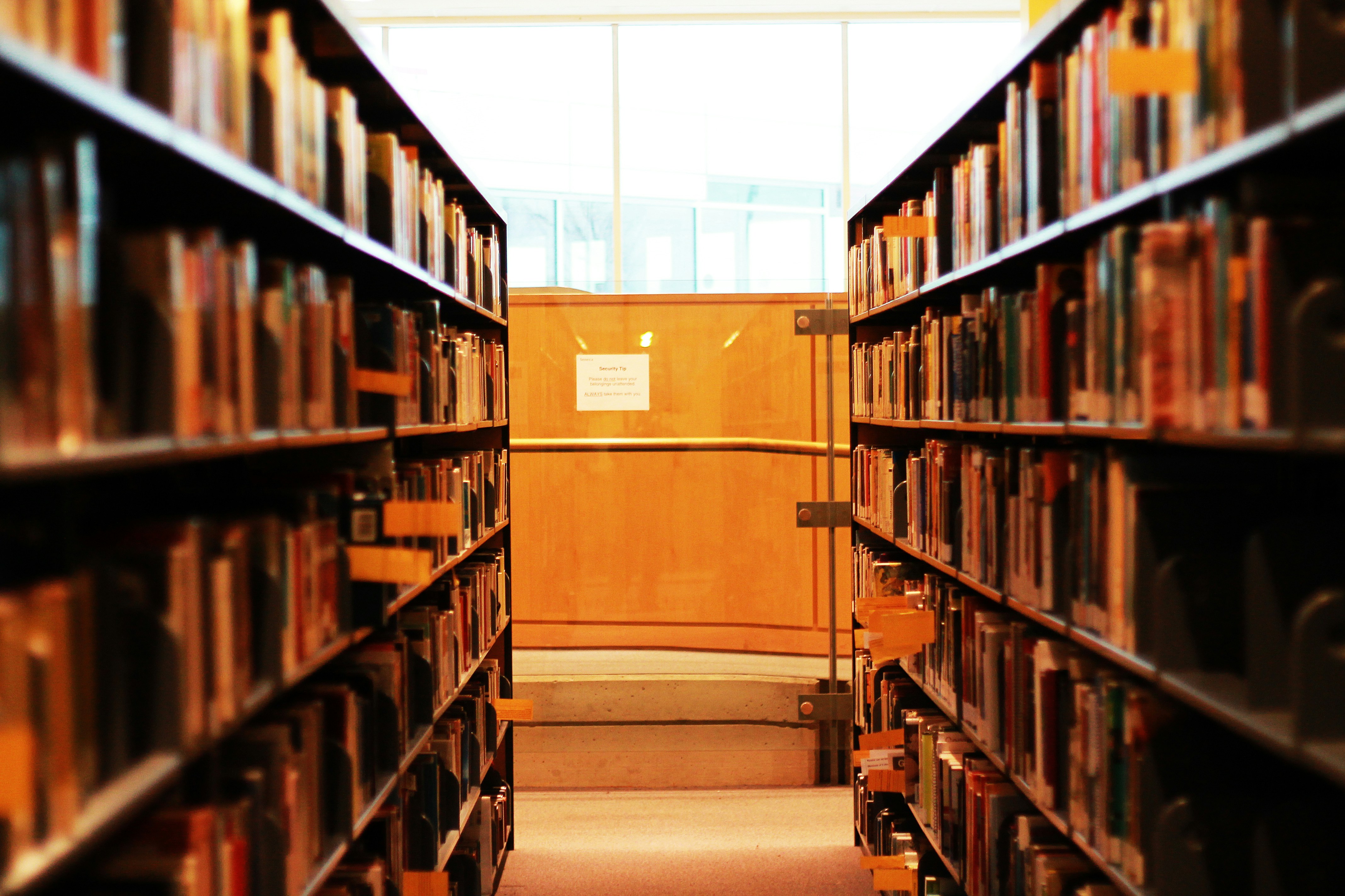 Library bookshelves with warm lighting